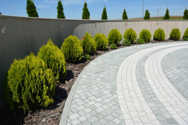 Best Driveway Pavers Near Me  in Pleasant Grove, UT